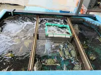 海鮮料理 磯の写真・動画_image_316100