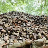 田倉牛神社の写真・動画_image_316122