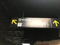 京都駅の写真・動画_image_316505