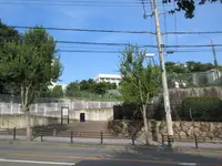神戸大学百年記念館 六甲ホールの写真・動画_image_317083