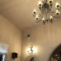 Saluteの写真・動画_image_317115