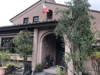 Saluteの写真・動画_image_317119