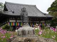 般若寺の写真・動画_image_317293