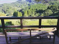 大山千枚田の写真・動画_image_317457