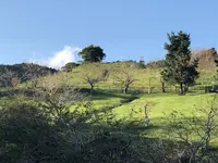 千葉県酪農のさとの写真・動画_image_317473