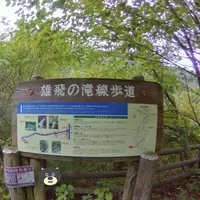 スッカン沢の写真・動画_image_317572