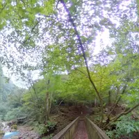 スッカン沢の写真・動画_image_317573