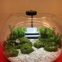 建仁寺の写真・動画_image_317897