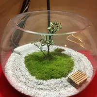 建仁寺の写真・動画_image_317898