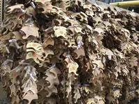 御金神社の写真・動画_image_318160