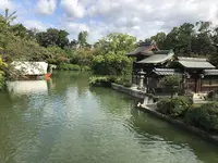 神泉苑の写真・動画_image_318173