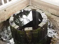 長浜八幡宮の写真・動画_image_318277