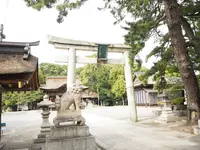 長浜八幡宮の写真・動画_image_318280