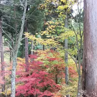 花筐公園の写真・動画_image_319124