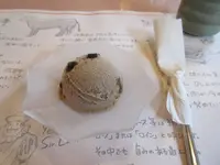 但馬ビーフレストラン楓の写真・動画_image_319273