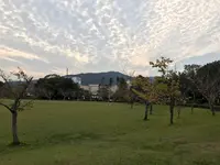 鳥羽市民の森公園の写真・動画_image_319424