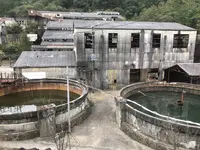わたらせ渓谷鐵道の写真・動画_image_319542
