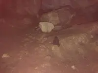 宇津野洞窟の写真・動画_image_319560