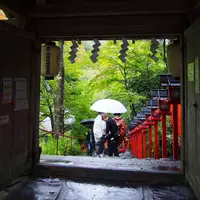 貴船神社の写真・動画_image_319765