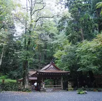 貴船神社の写真・動画_image_319767