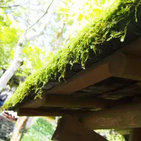 寂光院の写真・動画_image_319783