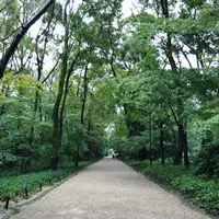下鴨神社（賀茂御祖神社）の写真・動画_image_319786
