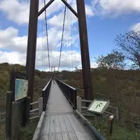 つつじ吊橋の写真・動画_image_320366