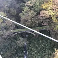 つつじ吊橋の写真・動画_image_320372