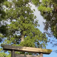 伊勢神宮内宮（皇大神宮）の写真・動画_image_320400