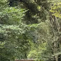 伊勢神宮外宮（豊受大神宮）の写真・動画_image_320403