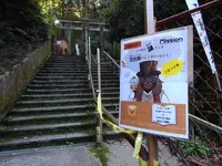 大本山 狸谷山不動院の写真・動画_image_320729