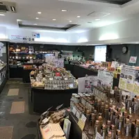 旧軽井沢銀座の写真・動画_image_320869