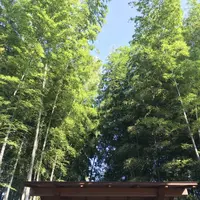 さいたま市役所 氷川の杜文化館の写真・動画_image_320933