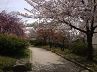 久世ニューリバー公園の写真・動画_image_32107