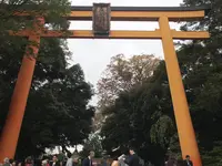 川越氷川神社の写真・動画_image_321326