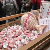 川越氷川神社の写真・動画_image_321335