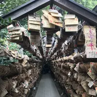 川越氷川神社の写真・動画_image_321337