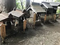 川越氷川神社の写真・動画_image_321340