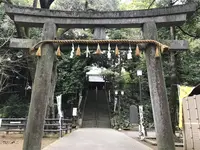 仙波東照宮の写真・動画_image_321358