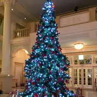 ホテルアムステルダムの写真・動画_image_321796