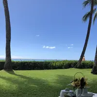 オーキッドの写真・動画_image_321862