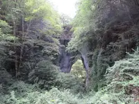 羅生門の写真・動画_image_321961