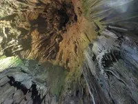 井倉洞の写真・動画_image_321980