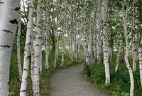 上野ファームの写真・動画_image_322094