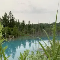 白金青い池の写真・動画_image_322120