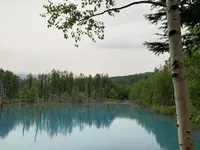 白金青い池の写真・動画_image_322121