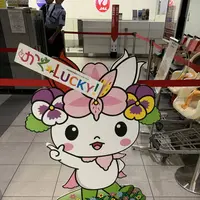 旭川空港の写真・動画_image_322124