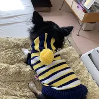 士林夜市（Shilin Night Market）の写真・動画_image_322171