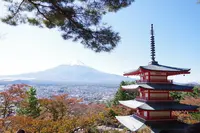 新倉山浅間公園の写真・動画_image_322220