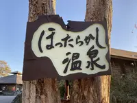 ほったらかし温泉の写真・動画_image_322232